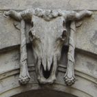 Avatar of Paulistaner