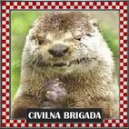 Avatar of Turbo_Dabar