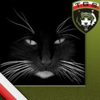 Avatar of raphaell.1985