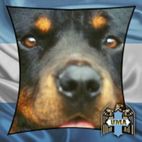 Avatar of DPDA
