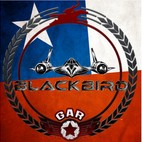 Avatar of B L A C K B I R D