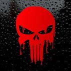 Avatar of PUNISHER.cl