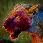 Avatar of Dark And Dynamic