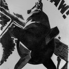 Avatar of Jose Markievich