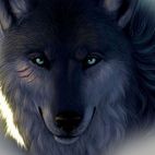 Avatar of Ion Ustian