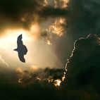 Avatar of Volkan Yantuna