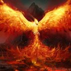 Avatar of Desert Phoenix
