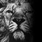 Avatar of Illyrian XxX