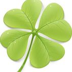 Avatar of newfourleafclover